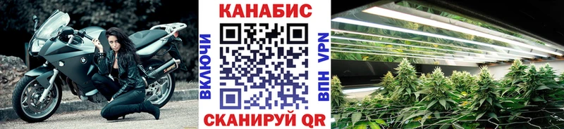 Бошки Шишки VHQ  Купить закладки  Салехард 